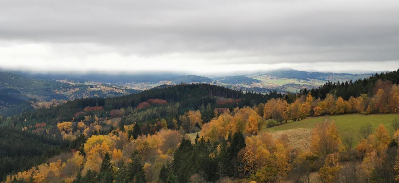 Hotel Zlaty Potok Nicov  المظهر الخارجي الصورة