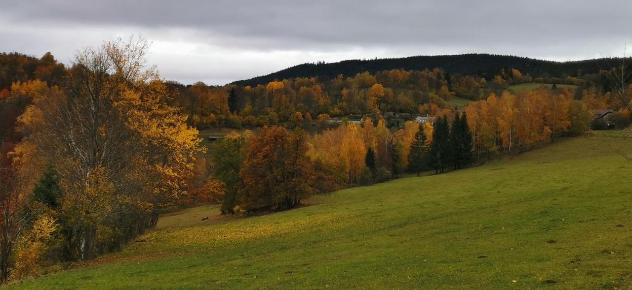 Hotel Zlaty Potok Nicov  المظهر الخارجي الصورة