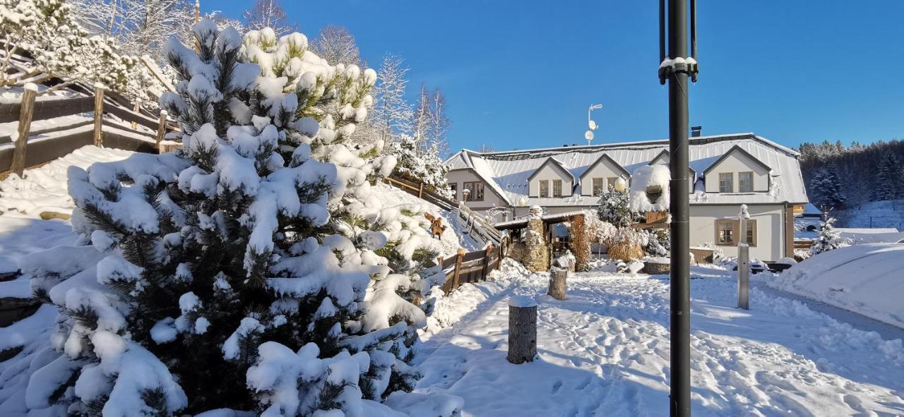 Hotel Zlaty Potok Nicov  المظهر الخارجي الصورة