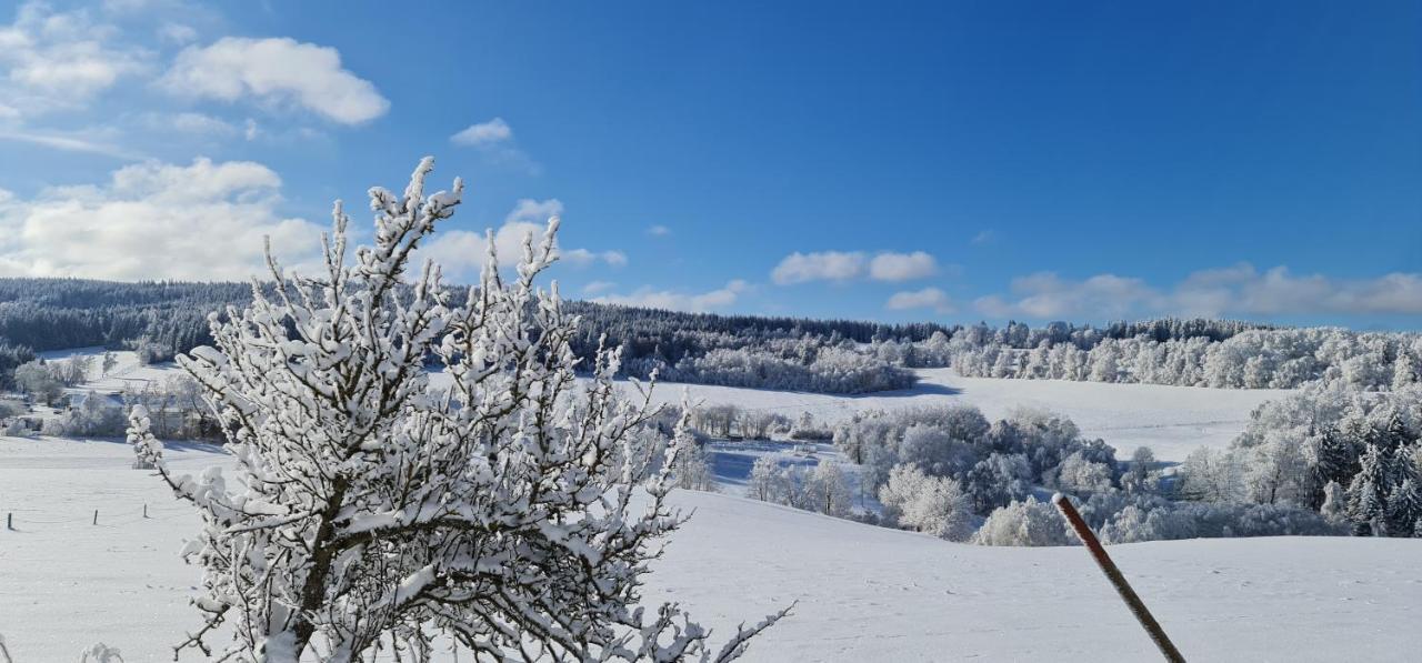 Hotel Zlaty Potok Nicov  المظهر الخارجي الصورة