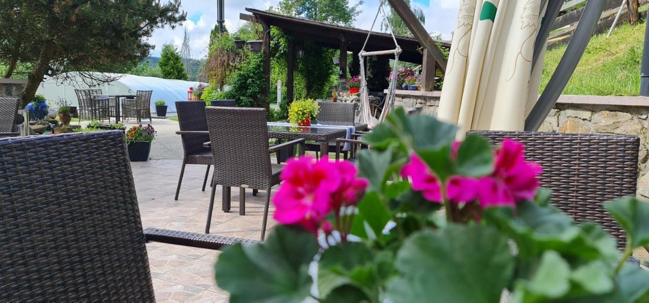 Hotel Zlaty Potok Nicov  المظهر الخارجي الصورة
