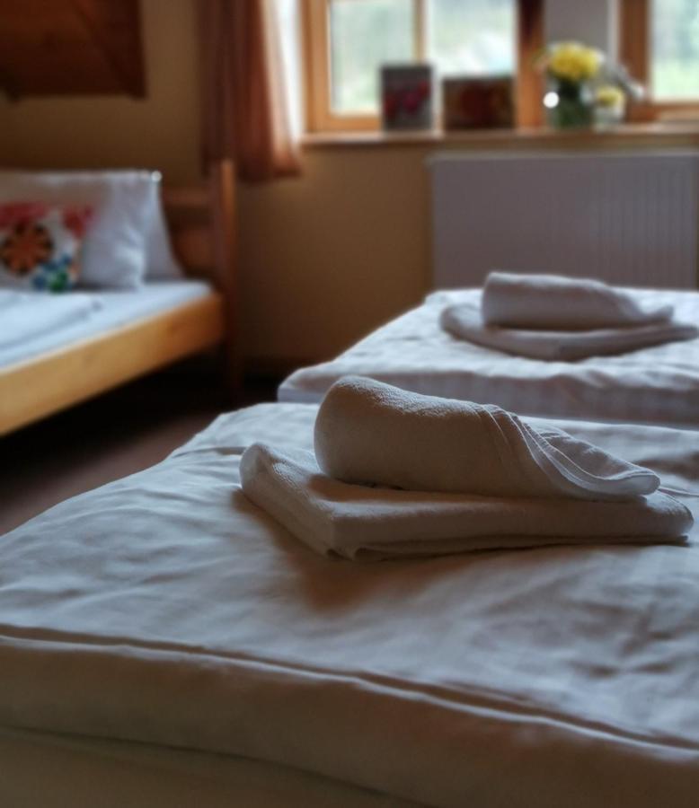 Hotel Zlaty Potok Nicov  المظهر الخارجي الصورة